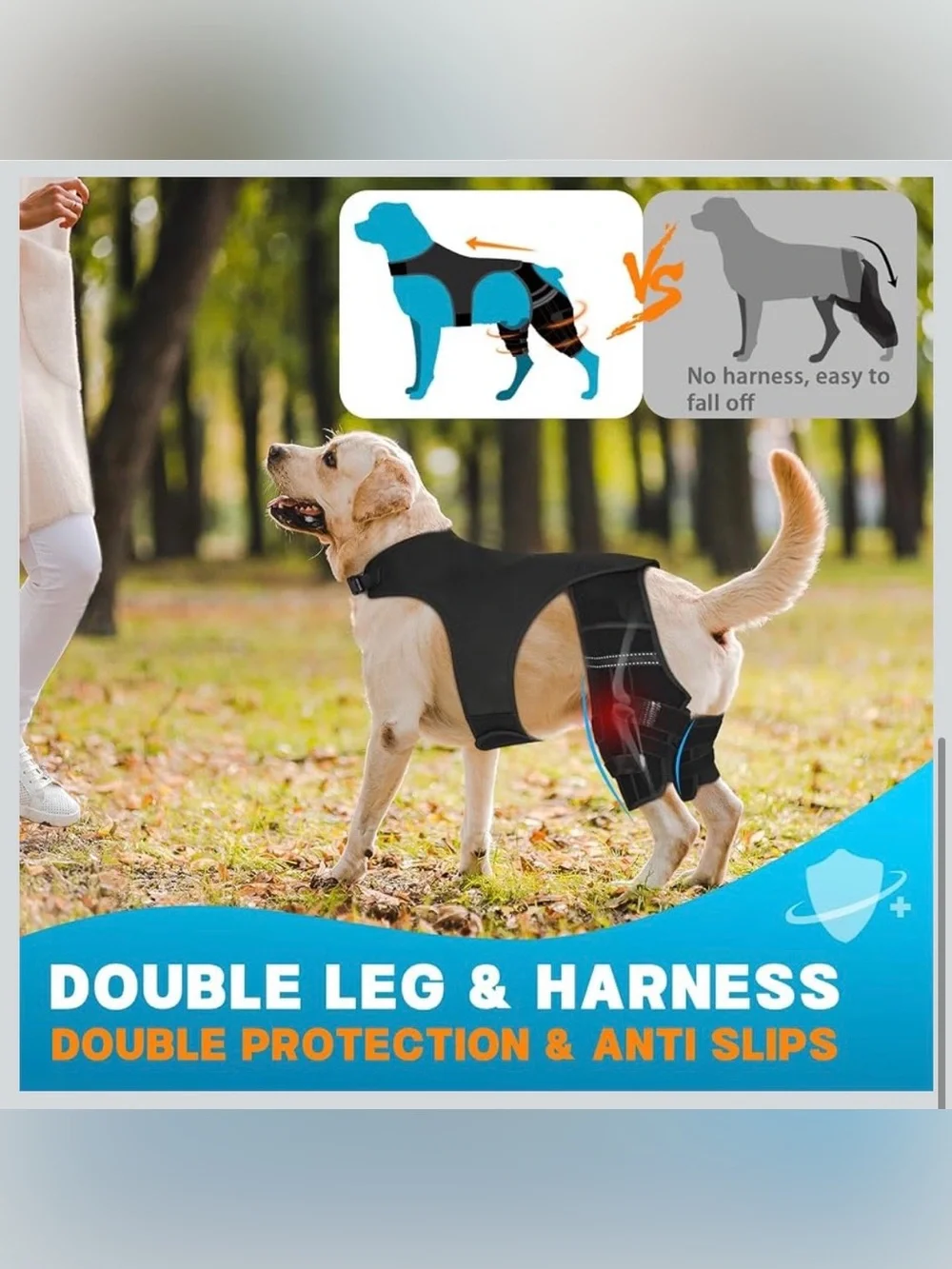 Dog Knee Brace For Torn Acl Hind Leg, 4 Stabilizers Dog Leg Brace L. 2039/DC-1